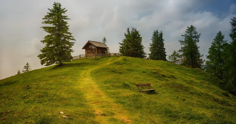 Cabane dans les arbres avec jacuzzi : le vrai calcul pour une famille